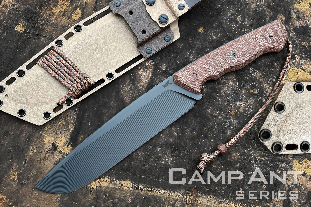 Camp-Ant-SERIES-1200x800