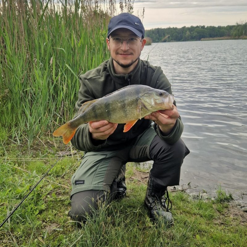 MK Knives & Tools - Venn Angler Series 06